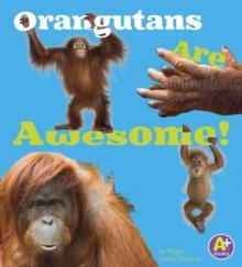 Orangutans Are Awesome!