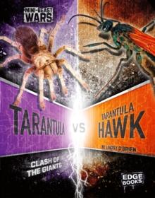 Tarantula vs Tarantula Hawk : Clash of the Giants