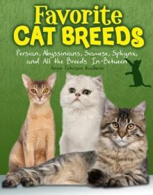 Favourite Cat Breeds : Persians, Abyssinians, Siamese, Sphynx, and all the Breeds In-Between