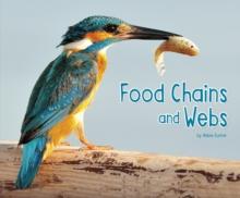 Food Chains and Webs