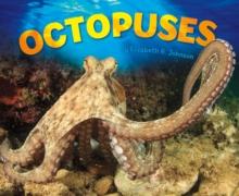 Octopuses