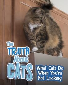 The Truth about Cats : What Cats Do When You're Not Looking