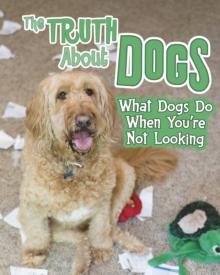 The Truth about Dogs : What Dogs Do When You're Not Looking