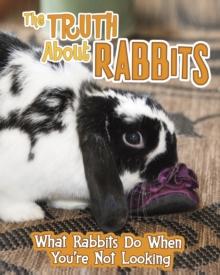 The Truth about Rabbits : What Rabbits Do When You're Not Looking