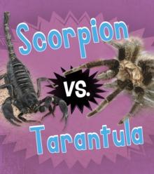 Scorpion vs. Tarantula