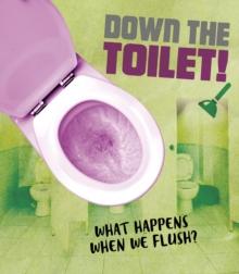 Down the Toilet! : What happens when we flush?