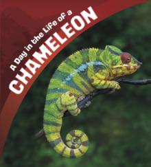 A Day in the Life of a Chameleon