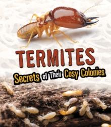 Termites