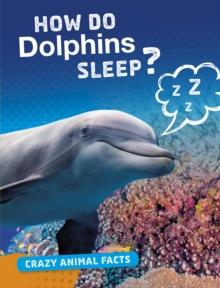 How Do Dolphins Sleep?