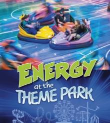 Energy at the Theme Park