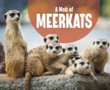 A Mob of Meerkats