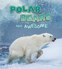 Polar Bears Are Awesome