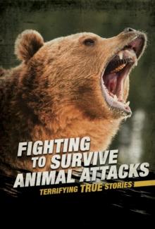 Fighting to Survive Animal Attacks