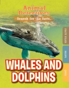 Whales and Dolphins