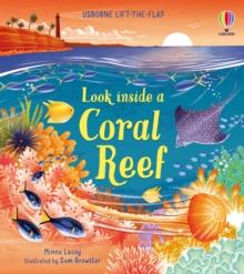 Look inside a Coral Reef