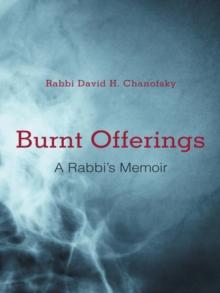 Burnt Offerings : A Rabbi's Memoir