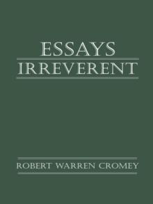 Essays Irreverent