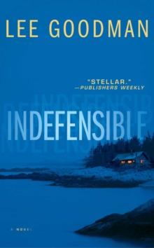 Indefensible : A Novel