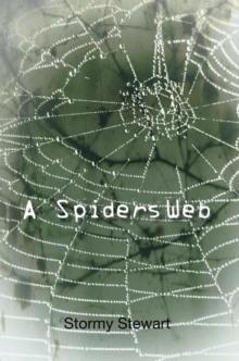 A Spiders Web