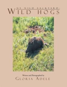 My Wild Backyard: Wild Hogs