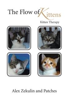 The Flow of Kittens : Kitten Therapy