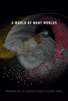 A World of Many Worlds