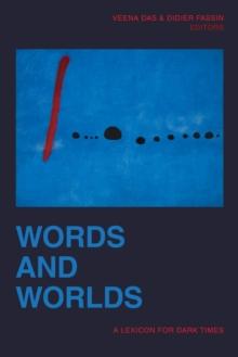 Words and Worlds : A Lexicon for Dark Times