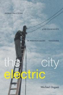 The City Electric : Infrastructure and Ingenuity in Postsocialist Tanzania