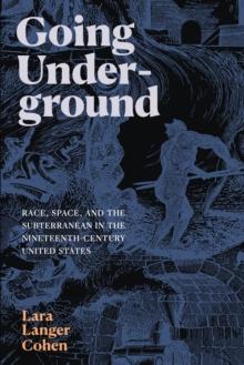 Going Underground : Race, Space, and the Subterranean in the Nineteenth-Century United States