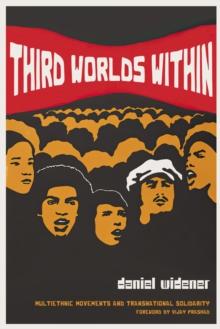 Third Worlds Within : Multiethnic Movements and Transnational Solidarity