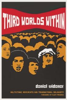 Third Worlds Within : Multiethnic Movements and Transnational Solidarity