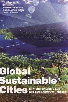 Global Sustainable Cities : City Governments and Our Environmental Future