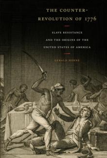 The Counter-Revolution of 1776 : Slave Resistance and the Origins of the United States of America