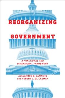 Reorganizing Government : A Functional and Dimensional Framework