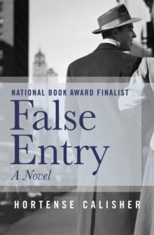 False Entry : A Novel