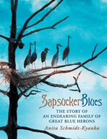 Sapsucker Blues : The Story of an Endearing Family of Great Blue Herons