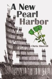 A New Pearl Harbor