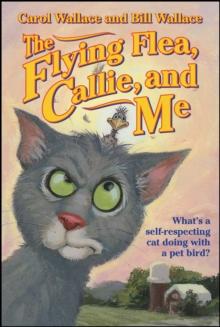 The Flying Flea, Callie, and Me