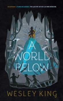 A World Below