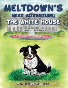 Meltdown's Next Adventure: the White House