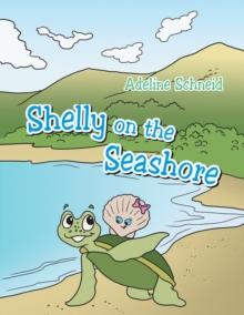 Shelly on the Seashore