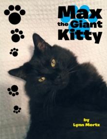 Max the Giant Kitty