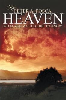 Heaven : What You Would Like to Know