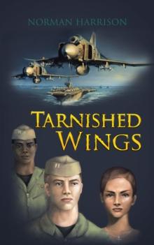 Tarnished Wings