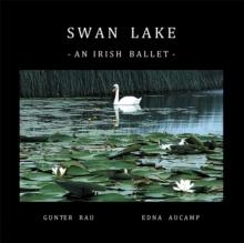 Swan Lake : An Irish Ballet