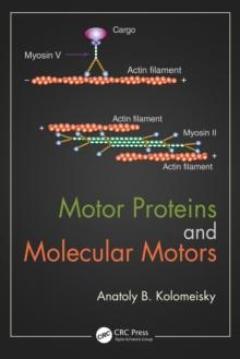 Motor Proteins and Molecular Motors