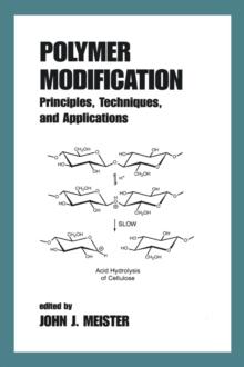 Polymer Modification : Principles, Techniques, and Applications