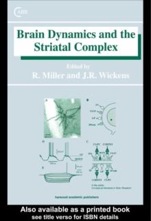 Brain Dynamics and the Striatal Complex