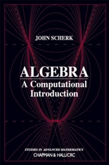 Algebra : A Computational Introduction