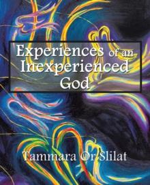 Experiences of an Inexperienced God : Excerpts from God's Diary